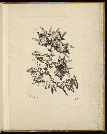 Design for Chinoiserie Flowers
