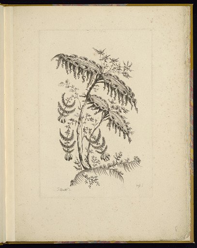 Design for Chinoiserie Flowers
