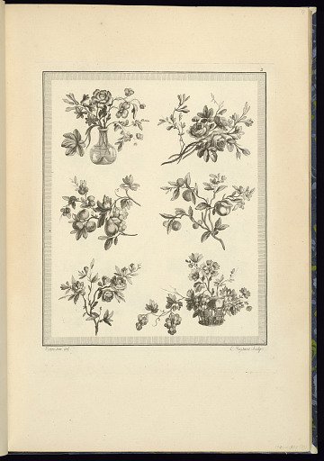 Floral and Fruit Ornament Designs