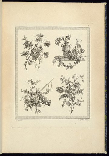 Floral and Fruit Ornament Designs