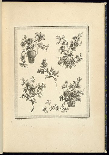 Floral and Fruit Ornament Designs