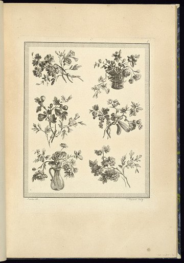 Floral and Fruit Ornament Designs