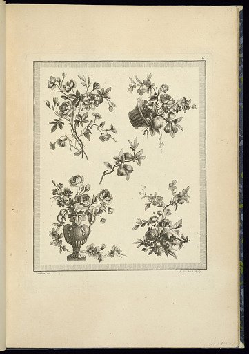 Floral and Fruit Ornament Designs