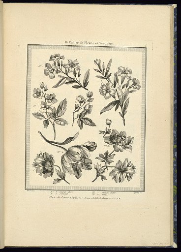 Title Page