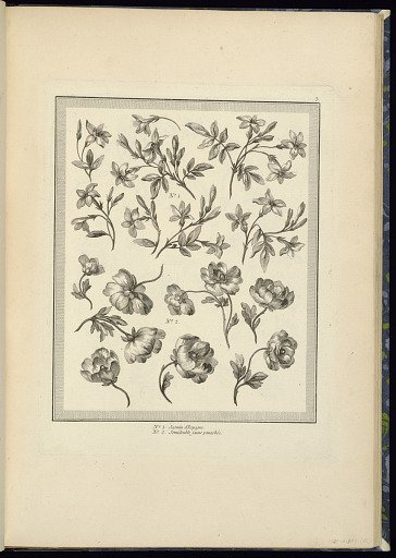 Designs for Flowers: Spanish Jasmin and Yellow Semidouble