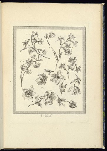 Designs for Flowers: Single Hyacinth, Double Hyacinth, Single Anemone