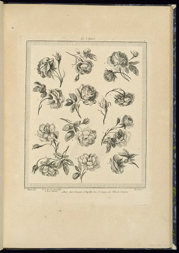 Title Page