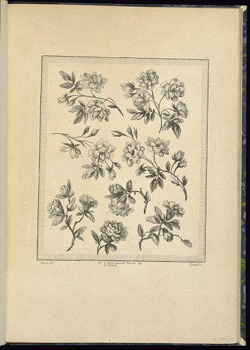 Designs for Flowers: White Muscade Rose, Pomegranate Flower