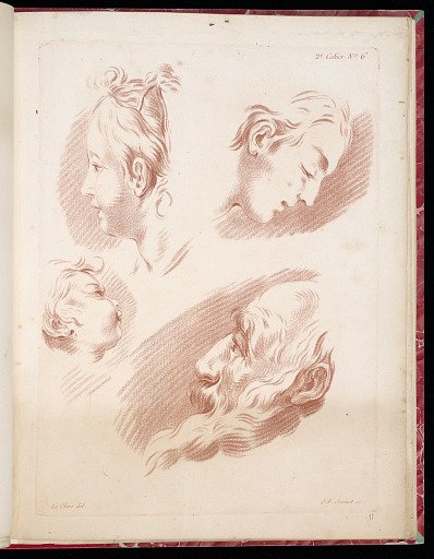 Studies of Heads in Profile