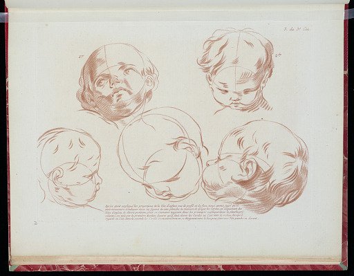Studies of a Child's Head