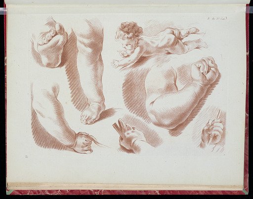Studies of a Leg, Foot, Arms, Hands, and a Baby