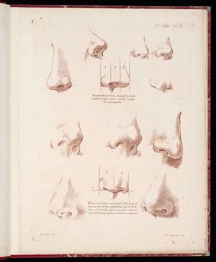 Studies of Noses