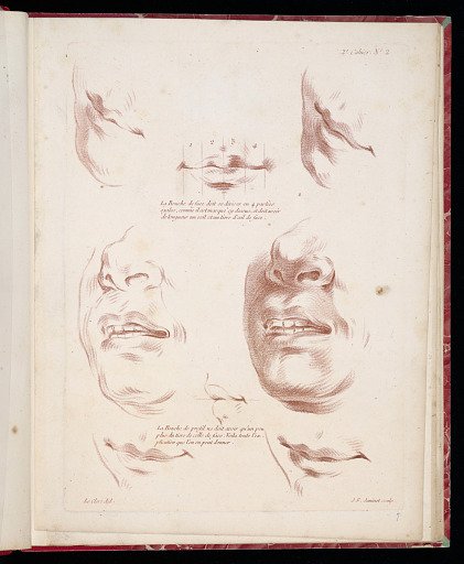 Studies of Mouths