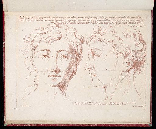 Studies of a Head