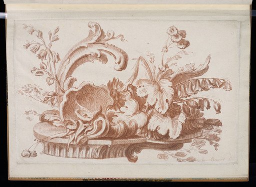 Floral and Foliate Ornament Design