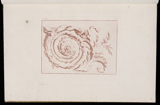 Scrolling Foliate Ornament Design