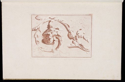 Scrolling Foliate Ornament Design