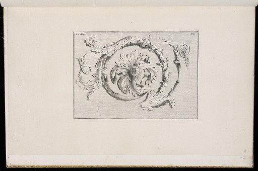 Scrolling Foliate Ornament Design