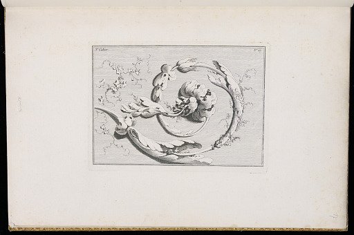 Scrolling Foliate Ornament Design