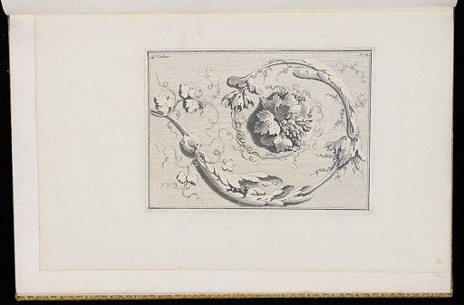 Scrolling Foliate Ornament Design