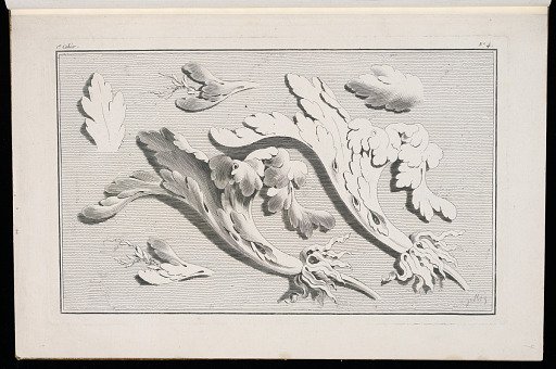 Scrolling Foliate Ornament Design