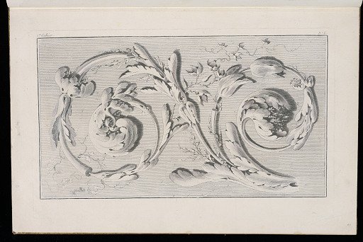 Scrolling Foliate Ornament Design