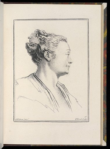 Study of a Woman in Profile
