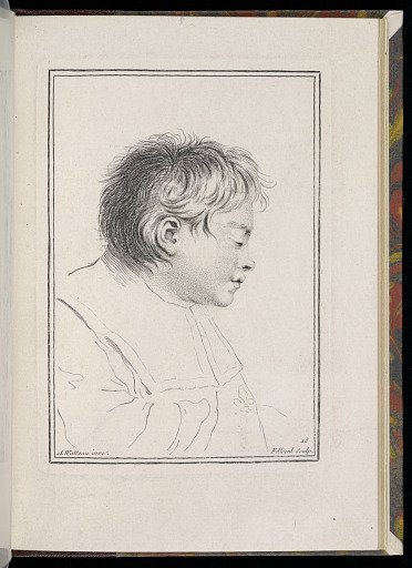 Study of a Man in Profile