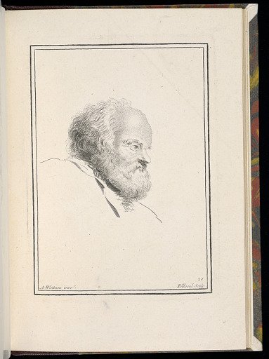 Study of a Bearded Man