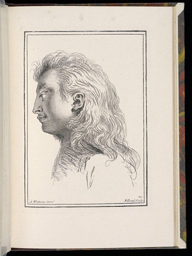 Study of a Man's Head in Profile