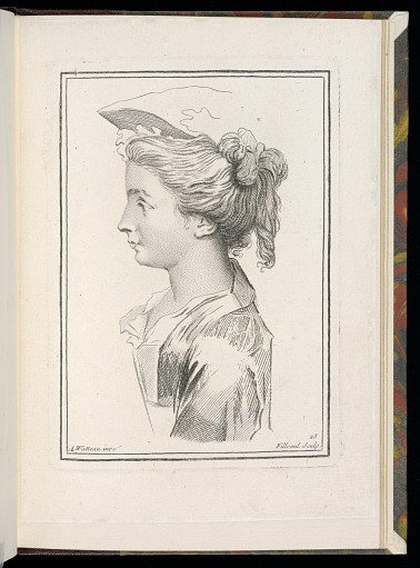 Study of a Woman in Profile