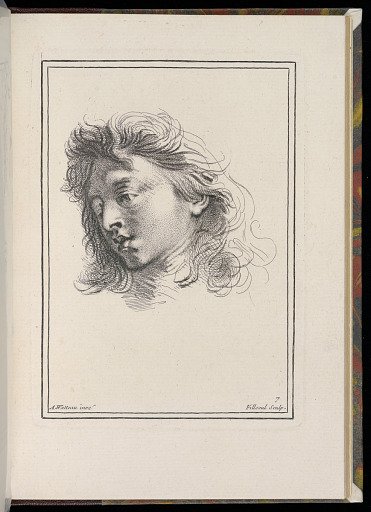 Study of a Man's Head