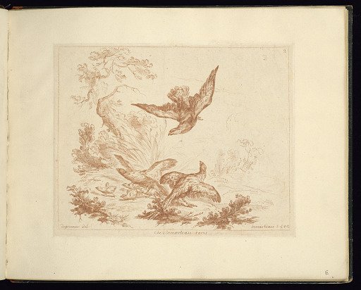 Birds in a Landscape