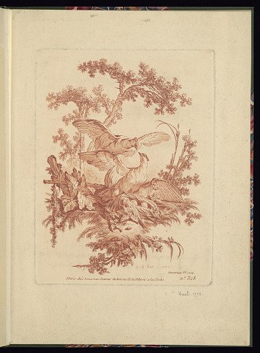 Two Birds and a Bird’s Nest in a Landscape