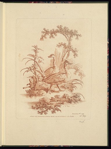Two Ducks in a Landscape