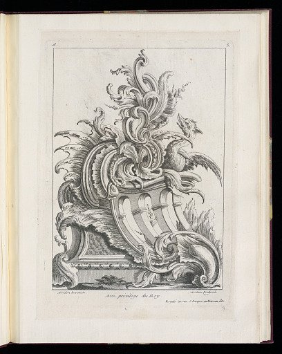 Rocaille Ornament Design