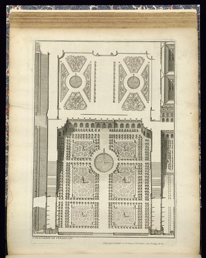 L’ORANGERIE DE VERSAILLES