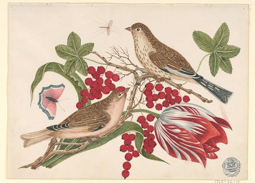 Two Brown Birds on Branch with Tulip, Berries, and Insects