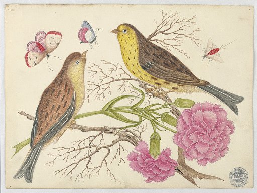 Two Brown-and-Yellow Birds on Branches with Carnations and Insects
