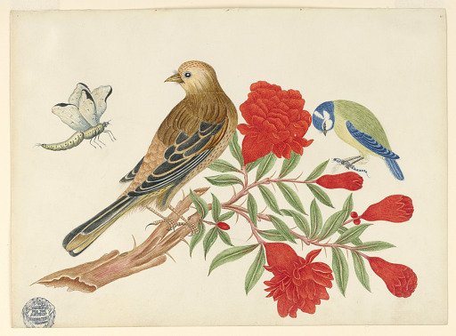 Brown-and-Black Bird and Blue-and-Yellow Bird on Branch with Red Bloossoms, Hunting Insects