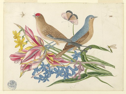 Two Birds on a Branch of Tulips with Insects