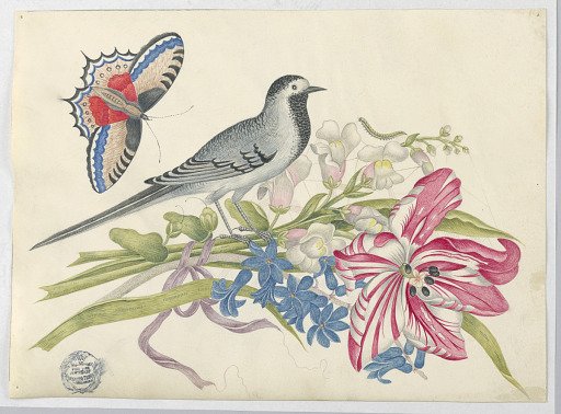 Gray Bird on Branch with Tulip, Snapdragons, and Forget-Me-Nots with Butterfly