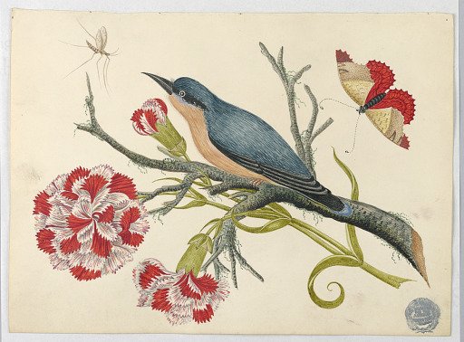 Blue Bird on Branch with Carnations and Insects