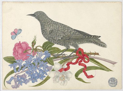 Black Bird with Blossoms, Butterfly, and Red Ribbon