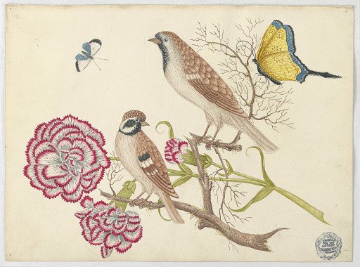 Two Brown Birds with Carnations and Butterflies