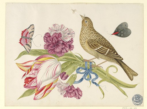 Bird with Tulip, Carnation, Butterflies, and Insect