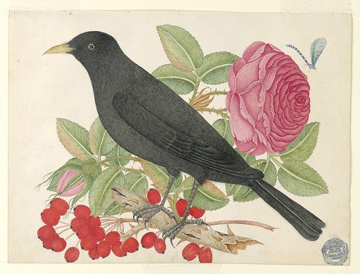 Black Bird with Roses