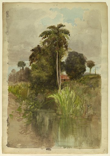Study of palm trees