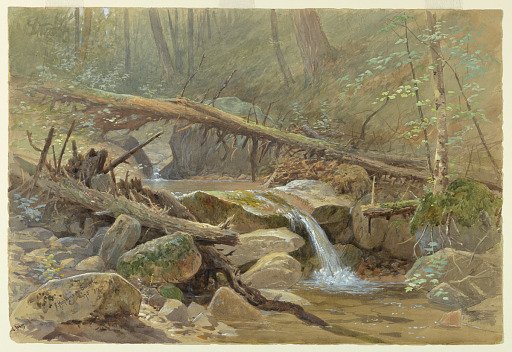 Pool in the Woods