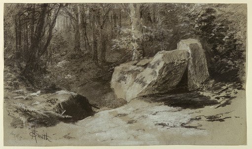Rocks in the Woods
